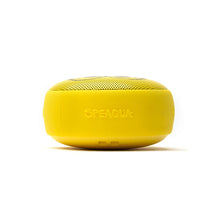 Load image into Gallery viewer, Speaqua The SpongeBob Cruiser