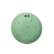 Cargar imagen en el visor de la galería, Speaqua The SpongeBob Cruiser Squidward