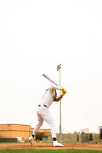 Load image into Gallery viewer, Victus Vibe Pro Crayon 2¾'' USSSA Bat (-10) Tatis Pink