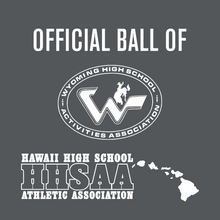 Cargar imagen en el visor de la galería, Perfection Team Issue