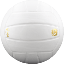 Load image into Gallery viewer, Perfection Leather Volleyball