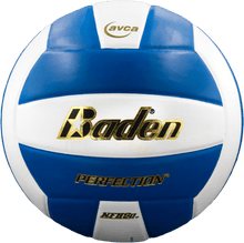 Load image into Gallery viewer, Baden Perfection Leather Volleyball