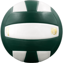Load image into Gallery viewer, Baden Perfection Leather Volleyball
