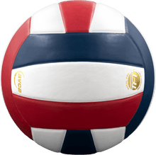 Load image into Gallery viewer, Baden Perfection Leather Volleyball