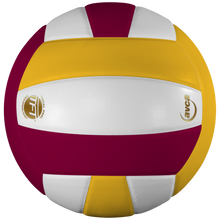 Load image into Gallery viewer, Perfection Leather Volleyball