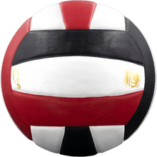 Load image into Gallery viewer, Perfection Leather Volleyball
