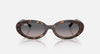 Ray-Ban 2223 Sunglasses