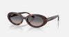 Ray-Ban 2223 Sunglasses