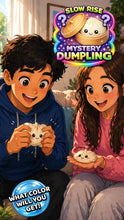 Cargar imagen en el visor de la galería, Fun Doh Slow Rise Dumpling Squishy
