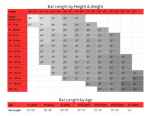 Load image into Gallery viewer, Rip-It Stardust Fastpitch Bat -12
