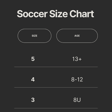 Load image into Gallery viewer, Z-Series Soccer Ball (NEW)
