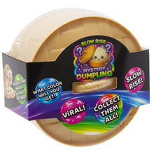 Cargar imagen en el visor de la galería, Fun Doh Slow Rise Dumpling Squishy

