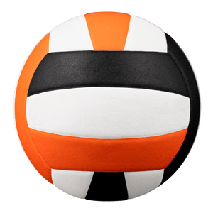 Baden Perfection Leather Volleyball