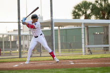 Load image into Gallery viewer, G-Form Elite Baseball Batter&#39;s Leg Guard
