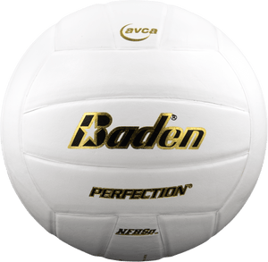 Baden Perfection Leather Volleyball