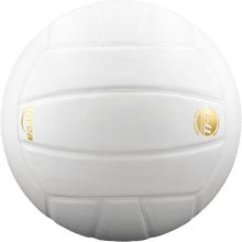 Cargar imagen en el visor de la galería, Baden Perfection Leather Volleyball
