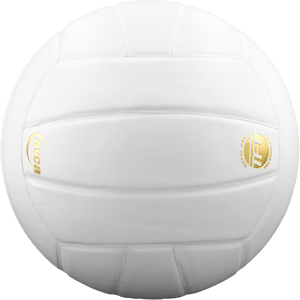 Baden Perfection Leather Volleyball