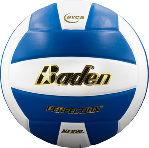 Baden Perfection Leather Volleyball