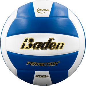 Baden Perfection Leather Volleyball