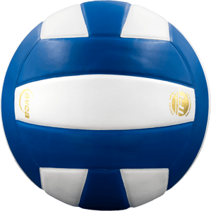 Baden Perfection Leather Volleyball