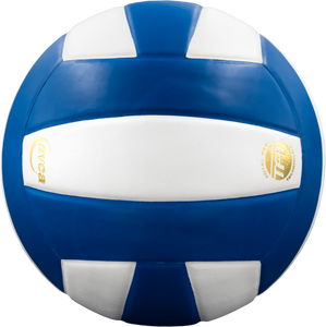 Baden Perfection Leather Volleyball