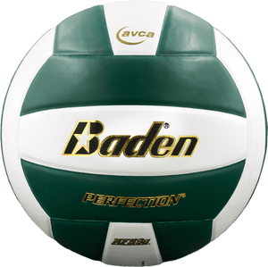 Baden Perfection Leather Volleyball