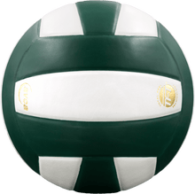 Cargar imagen en el visor de la galería, Baden Perfection Leather Volleyball
