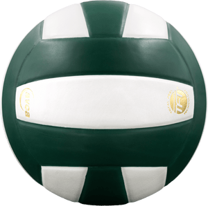 Baden Perfection Leather Volleyball