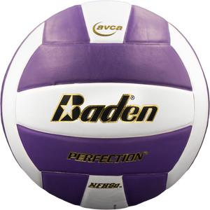 Baden Perfection Leather Volleyball