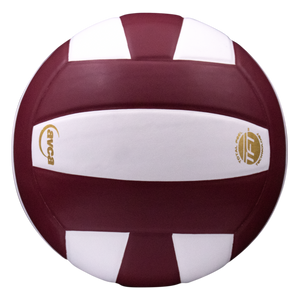 Baden Perfection Leather Volleyball