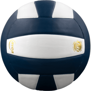 Baden Perfection Leather Volleyball