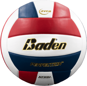 Baden Perfection Leather Volleyball