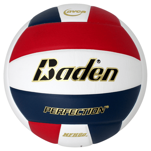 Baden Perfection Leather Volleyball