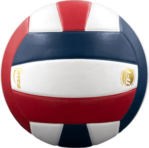 Baden Perfection Leather Volleyball