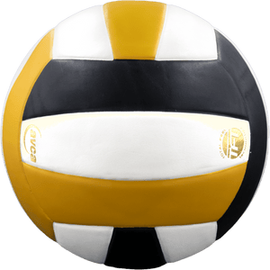 Baden Perfection Leather Volleyball