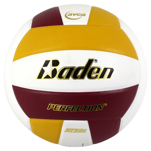 Baden Perfection Leather Volleyball