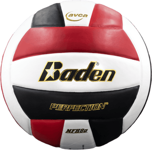 Baden Perfection Leather Volleyball