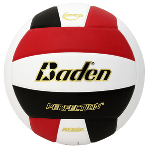 Baden Perfection Leather Volleyball