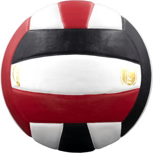 Baden Perfection Leather Volleyball