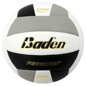 Baden Perfection Leather Volleyball